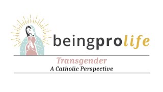 Transgender A Catholic Perspective [upl. by Nnodnarb]