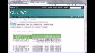 Bioinformatics practical 4 multiple sequence alignment using ClustalW [upl. by Ellicul]