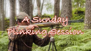 A Sunday Plinking Session [upl. by Anna]