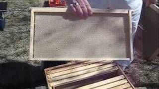 Starting a New Bee Hive [upl. by Cord]