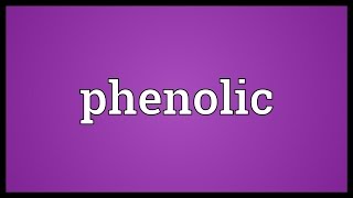 Phenolic Meaning [upl. by Rhett]