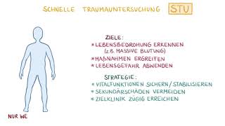 Die schnelle Traumauntersuchung STU  Intro [upl. by Annaeel60]