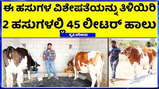 ಯೂಟ್ಯೂಬ್ ನಲ್ಲಿ ನೋಡಿ ಹಸುಗಳು ತಂದ 23 ವರ್ಷದ ಯುವಕ  hainugarike information in kannada  Dairy Farm [upl. by Elfrida479]