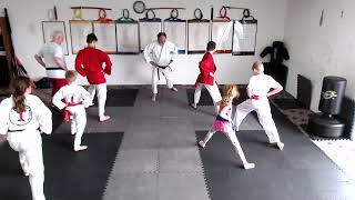 TCK 6524 11am Kids Christian Karate Classes [upl. by Amadeo]