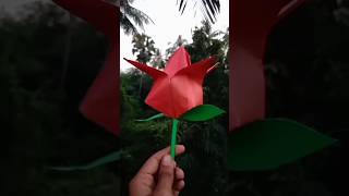 Diy beautiful paper flower paperflower short viral craft Createoncreativity [upl. by Aigil]