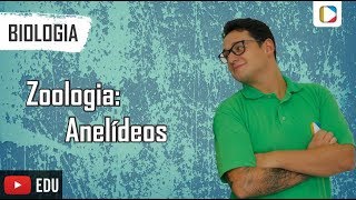 Biologia  Zoologia Anelídeos [upl. by Aroda670]