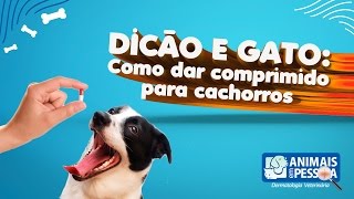 Como dar comprimido para cachorros [upl. by Allanson]