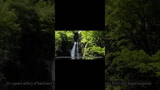 Aokigahara Forest Japan [upl. by Tuneberg]