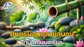 ดนตรีผ่อนคลายสมอง บำบัดความเครียด ช่วยให้ผ่อนคลาย ปล่อยวาง หลับลึกมากขึ้น  ดนตรีผ่อนคลาย [upl. by Fabien]