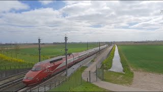 THALYS KOMT MET ONGEVEER 300 KMH LANGS HSL ZUID [upl. by Lemhar627]