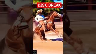 Disk break horse 🐎 youtube ytshorts youtubeshorts [upl. by Werda]