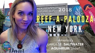 ReefAPalooza New York 2018  Coral Reef and Saltwater Aquarium Expo  Mindis Coral Reef [upl. by Pillsbury]