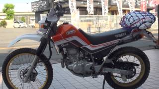 可愛い彼女とタンデム 幸せ一杯 SEROW YAMAHA MOUNTAIN TRAIL 225 [upl. by Naes985]