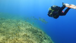 Scuba Diving in the Maltese Island of Gozo 2024 [upl. by Hewie144]