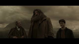 Giant Spider Aragog Funeral Farewell Speech  Harry Potter and the Half Blood Prince Scene [upl. by Ereveneug]