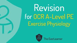 OCR ALevel PE 2022 Revision Exercise Physiology [upl. by Behrens818]