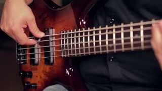 Ibanez GSR205SM 5 String Electric Bass Demo [upl. by Nivloc]