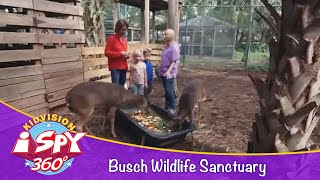 Kidvision Visits Busch Wildlife Sanctuary  360° [upl. by Champagne]