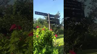 sembawang hotspring water healingpain singapore walking exercise park relaxing morning [upl. by Adhamh]