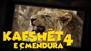 Kafshët e Çmendura  E4 [upl. by Clement]