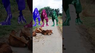 Big dinosaur chaseTRexe chasing part66 shorts dinosaur youtube dinosaurs youtubeshorts [upl. by Clary]