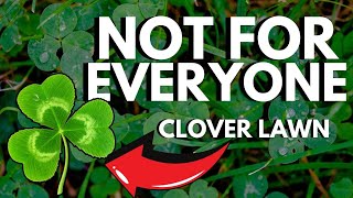 Watch This BEFORE You Start A Clover Lawn… it’s a BIG commitment Clover Lawns 101 [upl. by Frissell]