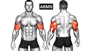 Biceps And Triceps Workout With Dumbbells  Arm Workout  Dumbbell Exercises [upl. by Kasevich718]