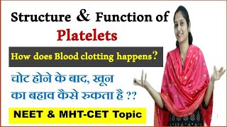 Platelets  Structure and function of platelets  NEET  MHTCET [upl. by Aruam]