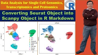 Converting Seurat Object into Scanpy Object in R Markdown [upl. by Odella295]