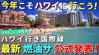 安くなります！円安なので大歓迎！座席数も大幅増でハワイ旅行が身近になってきました【ハワイ最新情報】【ハワイの今】【ハワイ旅行2024】【HAWAII】 [upl. by Godiva700]