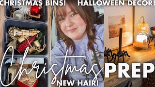 ORGANIZING MY CHRISTMAS BINS  CHRISTMAS 2024 PREP VLOG [upl. by Nytsirc]