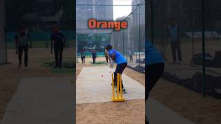 FUN🥰 Batting Drills  cricket practice Batting Drills cricket crickettechnique cricketlovers [upl. by Llednar]