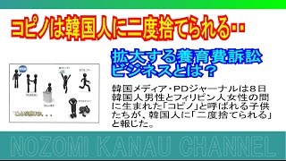 コピノは韓国人に二度捨てられる・・拡大する養育費訴訟ビジネスとは？ [upl. by Talia]