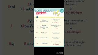 CARDIAC CONDUCTION SYSTEM IN LESS THAN A MINUTE 🫀❤️Nursing made easy nclexbiology [upl. by Annahs916]