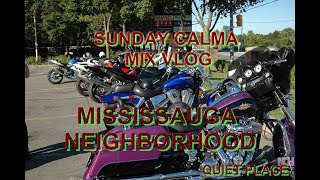 MISSISSAUGA NEIGHBORHOOD [upl. by Gussman991]