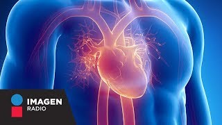 ¿Qué es una cardiopatía congénita  Bien y Saludable [upl. by Ydok]