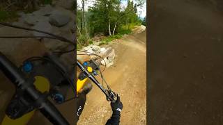 Best section in hemsedal bike park 🤙🏼😎 mtb mountainbiking hemsedal shorts hemsedalbikepark [upl. by Annoek]