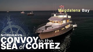 Nordhavn Convoy to the Sea of Cortez Magdalena Bay [upl. by Zetnod295]