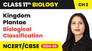 Kingdom Plantae  Biological Classification  Class 11 Biology Chapter 2  CBSE 202425 [upl. by Nnaycnan]