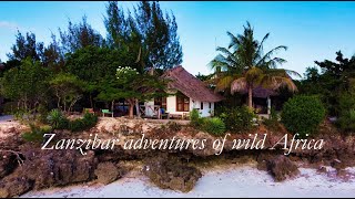 Zanzibar adventures of wild Africa  16  VLOG Travel [upl. by Engis]