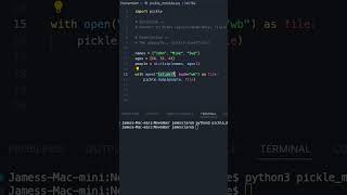 Python 3  Easy Object Serialisation python3 coding programming [upl. by Ljoka]