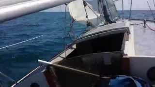 J24 sailing solo [upl. by Anatole]