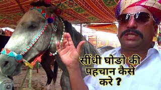 HOW TO KNOW OR JUSTIFY SINDHI BREED HORSE PURITY [upl. by Anelrats517]