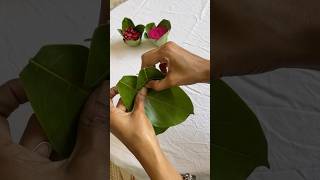 Ecofriendly leaf cups 🍃 jackfruitleafcups ecofriendlycups diy bananaleafcups [upl. by Gujral]