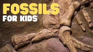 Fossils for Kids  Learn all about how fossils are formed the types of fossils and more [upl. by Dlanger]