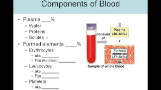 Blood Lecture 1 Introduction and blood composition [upl. by Emerick943]