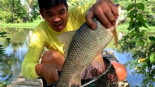 IMELDANG ISDA CARPA NAHULI NI TATAY MADLA [upl. by Kironde]