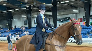 2024 Tennessee walking horse celebration Saturday morning class [upl. by Jasmine]