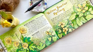 More Nature Journal Wildflowers [upl. by Quintie]