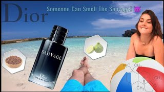 A Fragrance Unleashed Dior Sauvage EDT 2015 Fragrance Review dior sauvage [upl. by Belford]